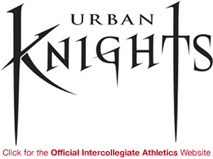 academyofarturbaknights