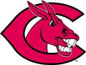 centralmissourimules