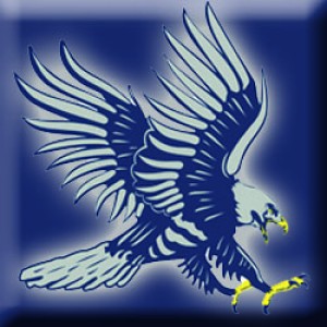 dickinsonstateblue hawks