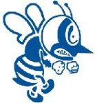 st ambrose fighting bees