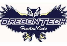 hustlin-owls1