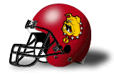 Ferris State Bulldogs
