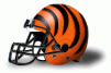 Riverside College Tigers