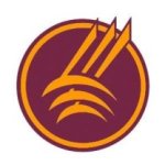 Montana state northern lights