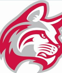Indiana Wesleyan Wildcats