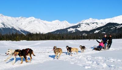 Dog sled race