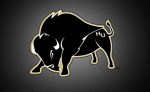 Harding U Bison logo