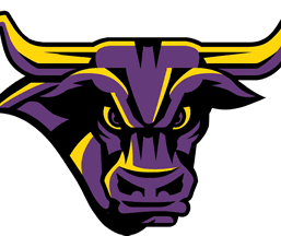Minnesota State Mavericks logo