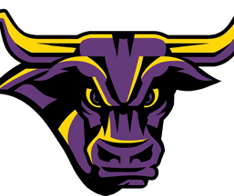 Minnesota State Mavericks logo