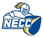 Northern Essex Knights