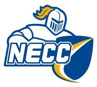 Northern Essex Knights