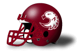Augsburg Auggies helmet