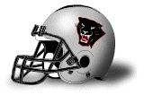 Florida Tech Panthers helmet