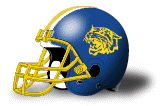 fort valley state wildcats helmet