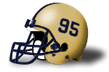 Teacher's College of New Jersey helmet