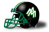 Arkansas Monticello helmet