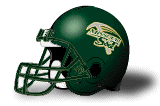 Missouri S&T Miners helmet
