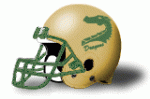 Tiffin Dragons helmet