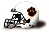 West Virginia Wesleyan helmet