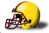 Charleston Golden Eagles helmets