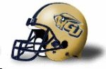 Gallaudet Bison helmet