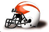 Grove City Wolverines helmet