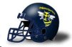 Rochester Tech helmet