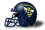 Rochester Tech helmet