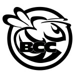 Bristol College Bees