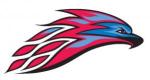 Mesa College Thunderbirds logo