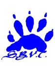 San Bernardino Valley WOlverines logo