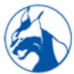 Wayne County Wildcats