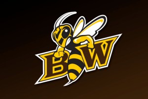Baldwin Wallace College Yellow Jackets logo