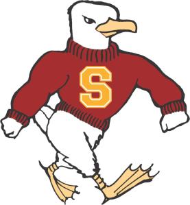 Salisbury Sea Gulls logo
