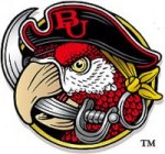 Barry Buccaneers logo