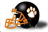 Doane College helmet