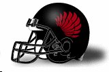Foothill College Owls helmet