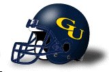 Graceland Yellow Jackets helmet
