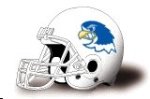Notre Dame College falcons helmet