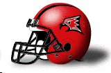 River Falls Falcons helmet