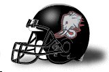 Rose Hulman Engineers helmet