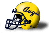Augustana (IL) helmet
