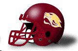 Concordia Chicago Cougars helmet