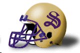 Sewanee Tigers helmet
