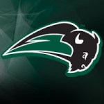 Nichols College Bison logo