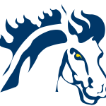 Mount Mercy University Mustangs