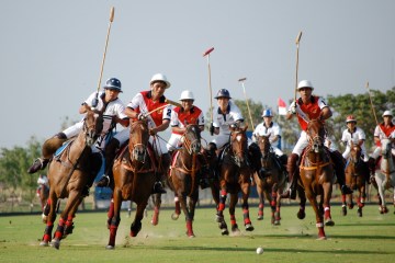 Polo Teams In Action