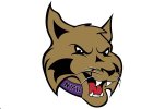 New York University Violets logo