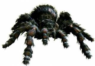 Maldoror 5 7 tarantula