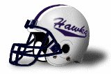 Dickinson State Blue Hawks helmet NEW